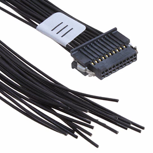 ������010